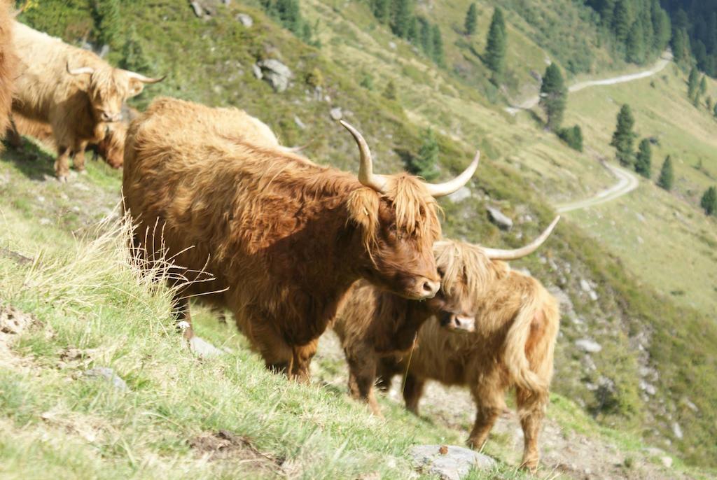 Kraftquelle Herrnmuhle Bramberg am Wildkogel Esterno foto